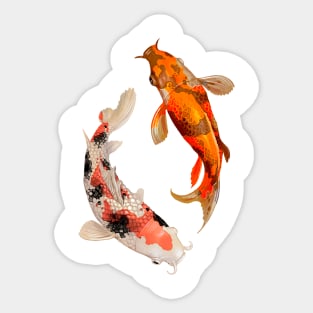 Koi Carp Sticker